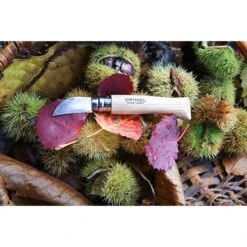 Opinel Couteau N°07 Châtaigne, Ail Et Dénoyauteur 8 Opinel Couteau N°07 Châtaigne, Ail Et Dénoyauteur -Cuisine À Domicile 411012 3 2 Couteau N 07 chataigne ail et denoyauteur Opinel