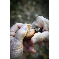 Opinel Couteau N°07 Châtaigne, Ail Et Dénoyauteur 9 Opinel Couteau N°07 Châtaigne, Ail Et Dénoyauteur -Cuisine À Domicile 411012 4 2 Couteau N 07 chataigne ail et denoyauteur Opinel