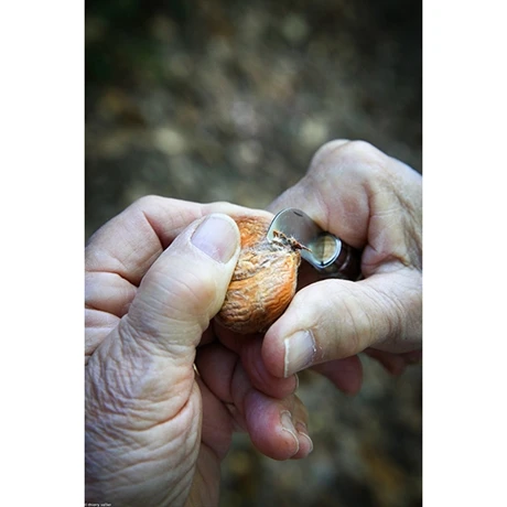 Opinel Couteau N°07 Châtaigne, Ail Et Dénoyauteur 5 Opinel Couteau N°07 Châtaigne, Ail Et Dénoyauteur – Image 5