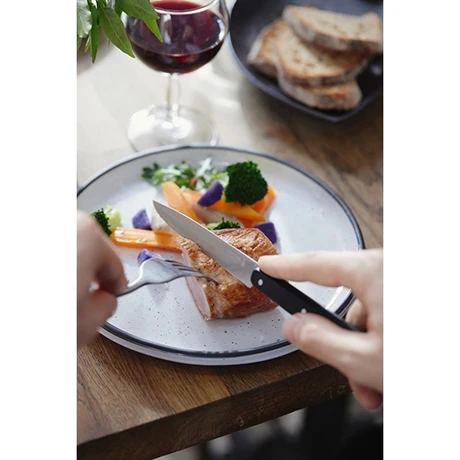 Opinel Couteau De Table N°125 Pro Noir 3 Opinel Couteau De Table N°125 Pro Noir – Image 3