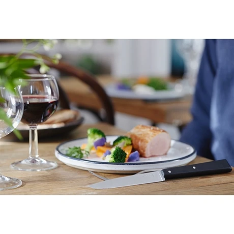 Opinel Couteau De Table N°125 Pro Noir 4 Opinel Couteau De Table N°125 Pro Noir – Image 4