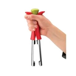 Vide Pommes Blossom 5 Vide Pommes Blossom -Cuisine À Domicile 56411 2 2 Vide pommes blossom